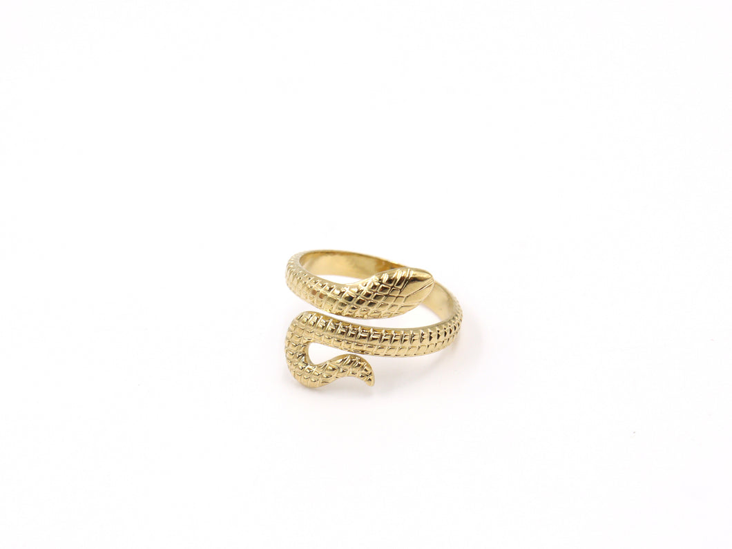 Anello serpente